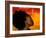 Woman's Colorful Profile, Cameroon-Bill Bachmann-Framed Photographic Print