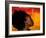 Woman's Colorful Profile, Cameroon-Bill Bachmann-Framed Photographic Print