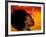 Woman's Colorful Profile, Cameroon-Bill Bachmann-Framed Photographic Print