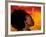 Woman's Colorful Profile, Cameroon-Bill Bachmann-Framed Photographic Print