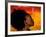 Woman's Colorful Profile, Cameroon-Bill Bachmann-Framed Photographic Print