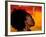 Woman's Colorful Profile, Cameroon-Bill Bachmann-Framed Photographic Print