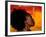 Woman's Colorful Profile, Cameroon-Bill Bachmann-Framed Photographic Print