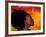 Woman's Colorful Profile, Cameroon-Bill Bachmann-Framed Photographic Print