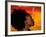 Woman's Colorful Profile, Cameroon-Bill Bachmann-Framed Photographic Print