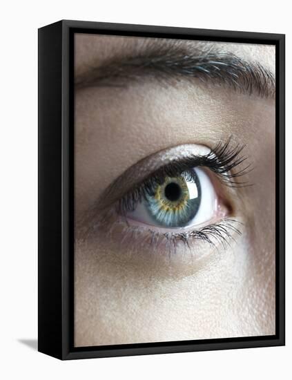 Woman's Eye-Science Photo Library-Framed Premier Image Canvas