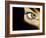 Woman's Eye-Science Photo Library-Framed Photographic Print