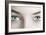 Woman's Eyes-Science Photo Library-Framed Photographic Print