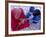 Woman's Hand Being Decorated with Henna Design, Rajasthan, India-Bruno Morandi-Framed Photographic Print