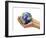 Woman's Hands Holding An Earth Globe-Stocktrek Images-Framed Photographic Print