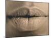 Woman's Lips-Cristina-Mounted Photographic Print