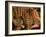 Woman's Palm Decorated in Henna, Jaipur, Rajasthan, India-Keren Su-Framed Photographic Print