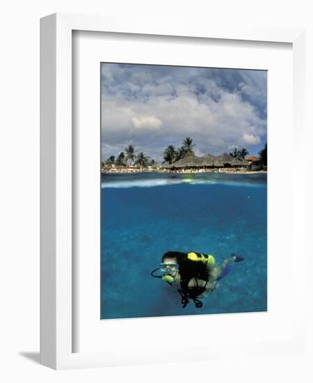 Woman Scuba Diving, Bonaire, Caribbean-Amos Nachoum-Framed Photographic Print