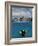 Woman Scuba Diving, Bonaire, Caribbean-Amos Nachoum-Framed Photographic Print