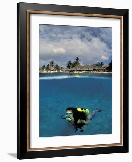 Woman Scuba Diving, Bonaire, Caribbean-Amos Nachoum-Framed Photographic Print