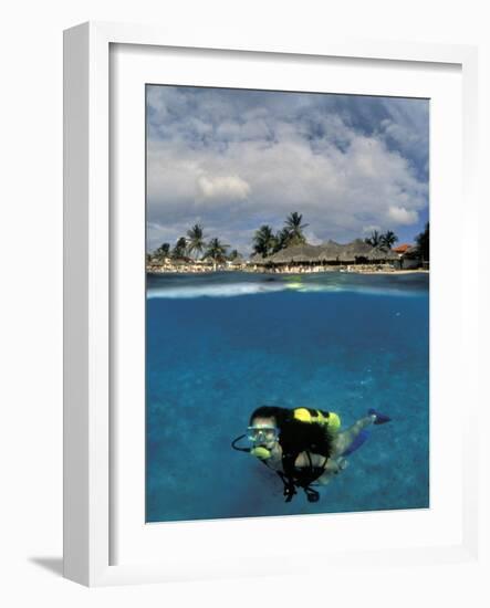 Woman Scuba Diving, Bonaire, Caribbean-Amos Nachoum-Framed Photographic Print