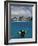 Woman Scuba Diving, Bonaire, Caribbean-Amos Nachoum-Framed Photographic Print