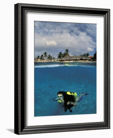 Woman Scuba Diving, Bonaire, Caribbean-Amos Nachoum-Framed Photographic Print