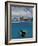 Woman Scuba Diving, Bonaire, Caribbean-Amos Nachoum-Framed Photographic Print