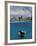 Woman Scuba Diving, Bonaire, Caribbean-Amos Nachoum-Framed Photographic Print