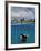 Woman Scuba Diving, Bonaire, Caribbean-Amos Nachoum-Framed Photographic Print