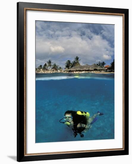 Woman Scuba Diving, Bonaire, Caribbean-Amos Nachoum-Framed Photographic Print