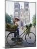 Woman Selling Flowers off Her Bicycle, Hanoi, Vietnam, Indochina, Asia-Tim Hall-Mounted Photographic Print