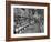 Woman Shopping in A&P Grocery Store-Alfred Eisenstaedt-Framed Photographic Print