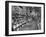 Woman Shopping in A&P Grocery Store-Alfred Eisenstaedt-Framed Photographic Print