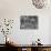 Woman Shopping in A&P Grocery Store-Alfred Eisenstaedt-Photographic Print displayed on a wall