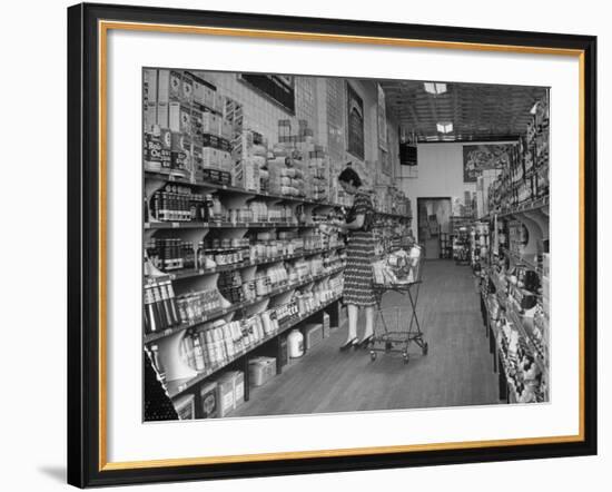 Woman Shopping in A&P Grocery Store-Alfred Eisenstaedt-Framed Photographic Print