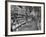 Woman Shopping in A&P Grocery Store-Alfred Eisenstaedt-Framed Photographic Print