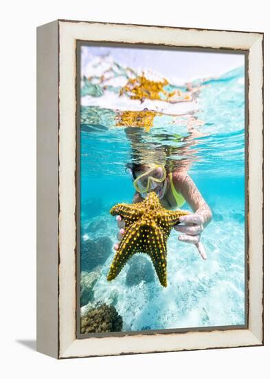 Woman showing a yellow starfish underwater in the tropical lagoon, Zanzibar, Tanzania-Roberto Moiola-Framed Premier Image Canvas