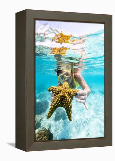 Woman showing a yellow starfish underwater in the tropical lagoon, Zanzibar, Tanzania-Roberto Moiola-Framed Premier Image Canvas