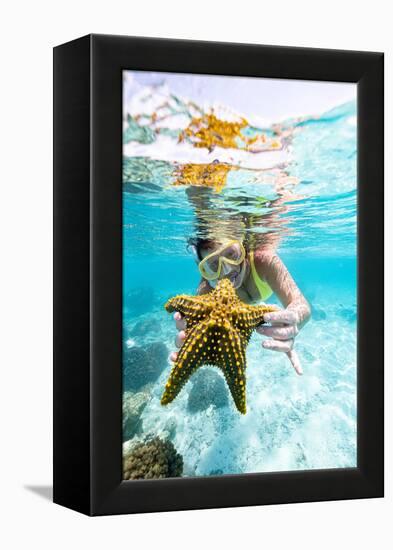 Woman showing a yellow starfish underwater in the tropical lagoon, Zanzibar, Tanzania-Roberto Moiola-Framed Premier Image Canvas