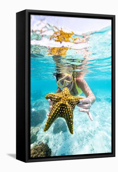 Woman showing a yellow starfish underwater in the tropical lagoon, Zanzibar, Tanzania-Roberto Moiola-Framed Premier Image Canvas