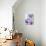 Woman Sieving Flour into a Bowl, Crockery & Eggs in Front-Linda Burgess-Photographic Print displayed on a wall