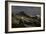 Woman Sits On The Side Of A Mountain Looking Up At The Stars In The North Cascades, Wa-Hannah Dewey-Framed Photographic Print