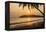 Woman Sitting on Mirissa Beach Watching the Sun Set-Matthew Williams-Ellis-Framed Premier Image Canvas