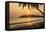 Woman Sitting on Mirissa Beach Watching the Sun Set-Matthew Williams-Ellis-Framed Premier Image Canvas