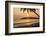 Woman Sitting on Mirissa Beach Watching the Sun Set-Matthew Williams-Ellis-Framed Photographic Print