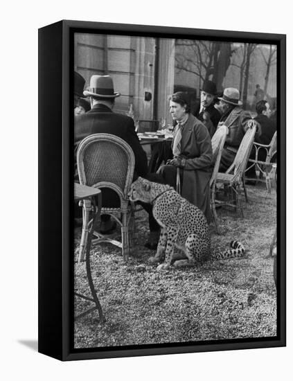 Woman Sitting with Her Pet Ocelot Having Tea at Bois de Boulogne Cafe-Alfred Eisenstaedt-Framed Premier Image Canvas