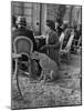 Woman Sitting with Her Pet Ocelot Having Tea at Bois de Boulogne Cafe-Alfred Eisenstaedt-Mounted Photographic Print