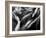 Woman Sleeping, Covered with Veil-Antonino Barbagallo-Framed Photographic Print