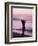 Woman Standing on Beach in Silhouette-Bill Romerhaus-Framed Photographic Print