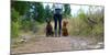 Woman Stands On A Forested Path With Her Two Dogs-Hannah Dewey-Mounted Photographic Print