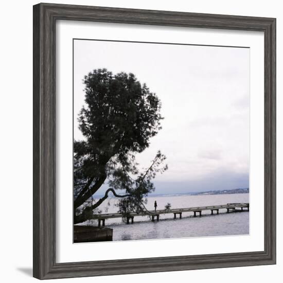 Woman Stands on Dock Next to Pine Tree, Lake Washington, Seattle, Washington State, Usa-Aaron McCoy-Framed Photographic Print