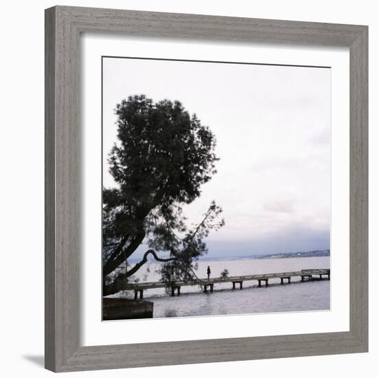 Woman Stands on Dock Next to Pine Tree, Lake Washington, Seattle, Washington State, Usa-Aaron McCoy-Framed Photographic Print