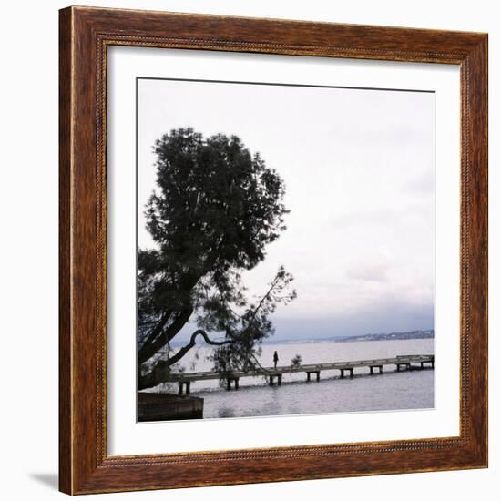 Woman Stands on Dock Next to Pine Tree, Lake Washington, Seattle, Washington State, Usa-Aaron McCoy-Framed Photographic Print