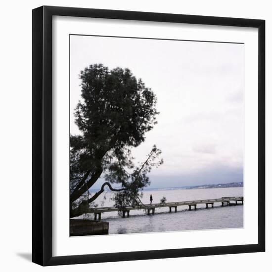 Woman Stands on Dock Next to Pine Tree, Lake Washington, Seattle, Washington State, Usa-Aaron McCoy-Framed Photographic Print